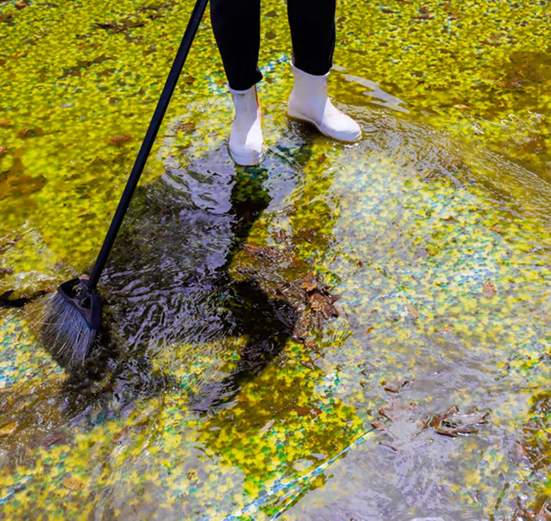 From Green to Clean — Fast.