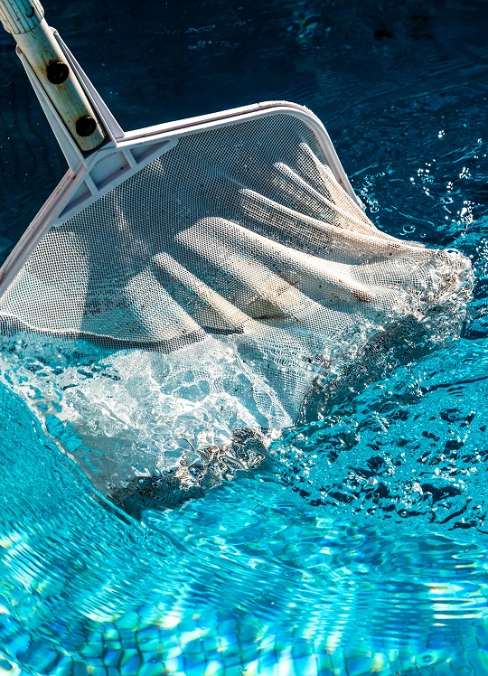 Pool Cleaning